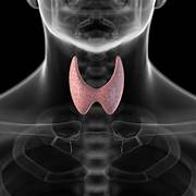 Thyroid Detection